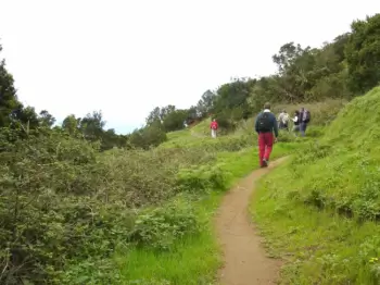 Trek Santa Clara Buenavista